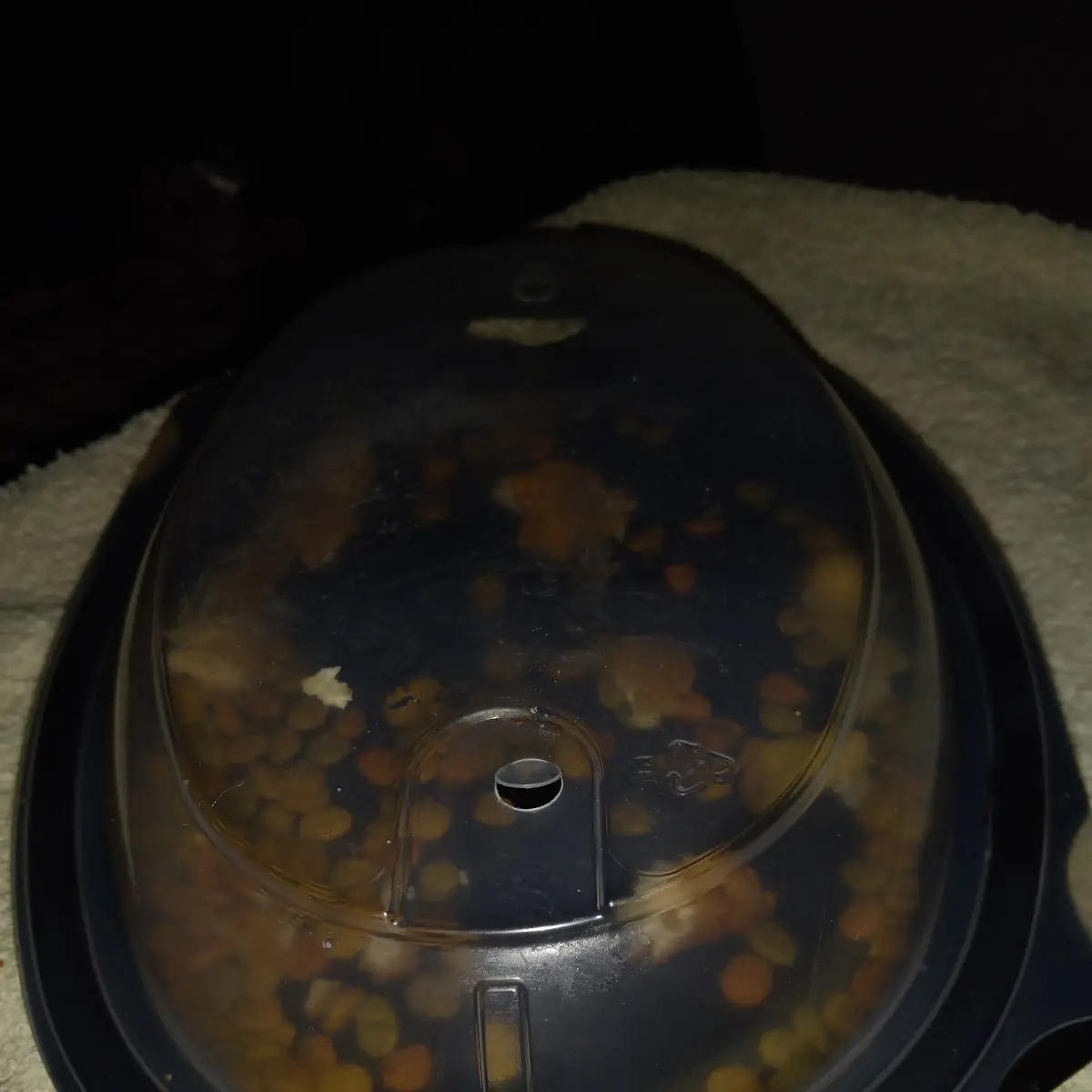 Plain Burger Patty Ordered for Our Dog We Mixed with Dog Food