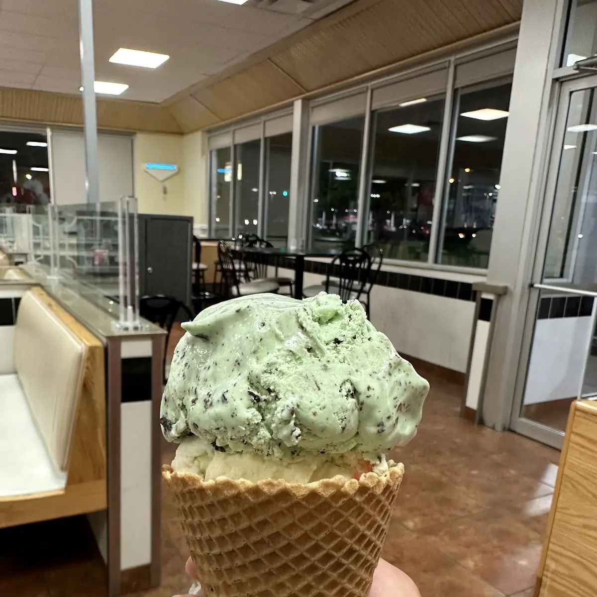 Mint Chocolate Chip Ice Cream Cone