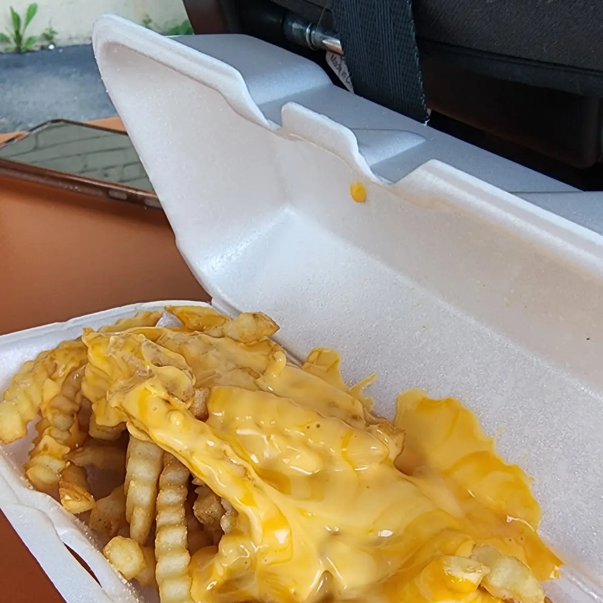 Cheese Fries