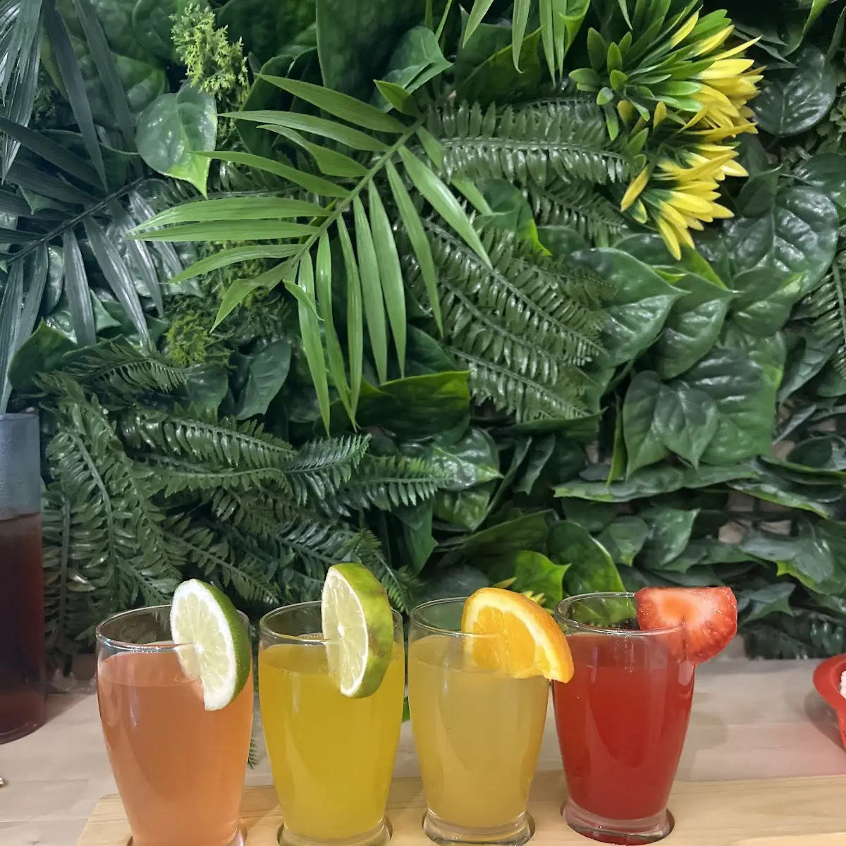 Mimosa Flight