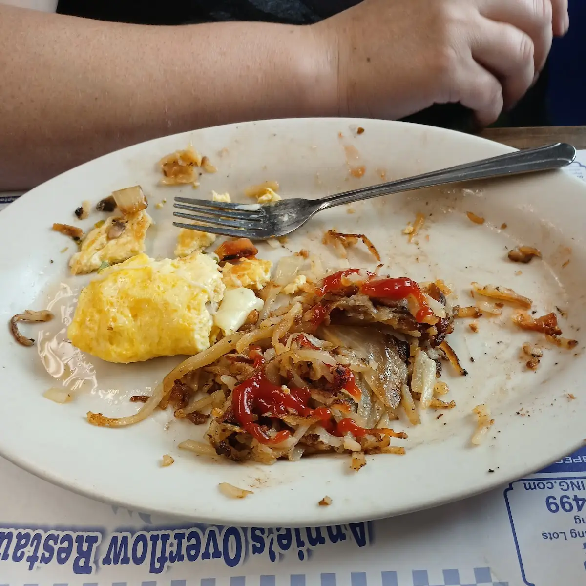 Steak Omelet