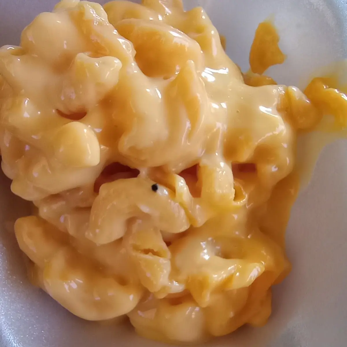 Macaroni Salad