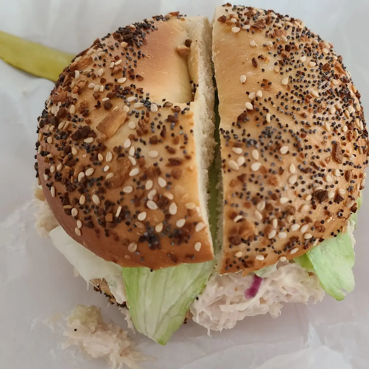 Chicken Salad in Everything Bagel
