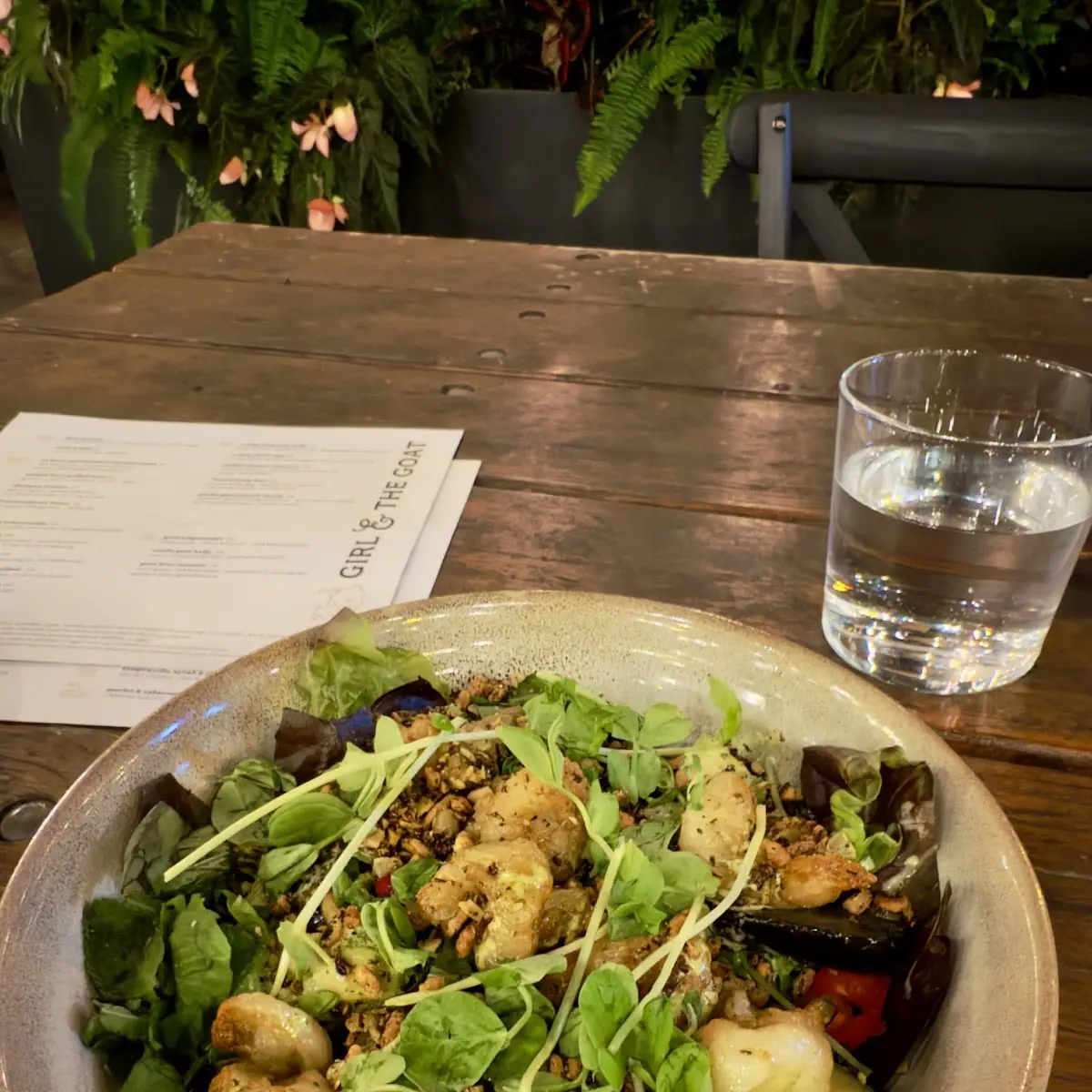 Shrimp Salad