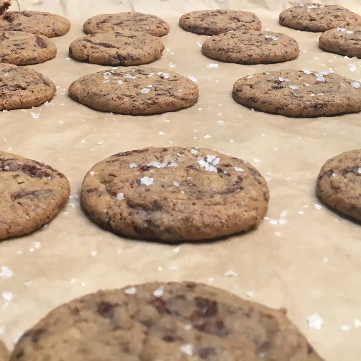 Chocolate Chip Cookies Half Dozen