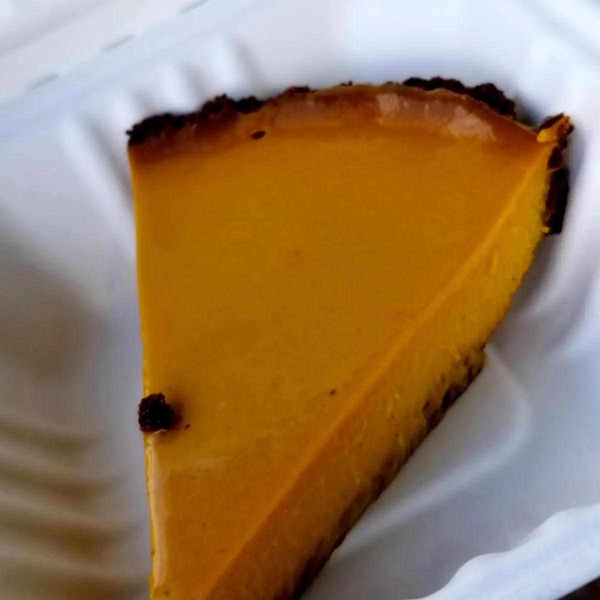Pumpkin Pie in Chocolate Graham Crust