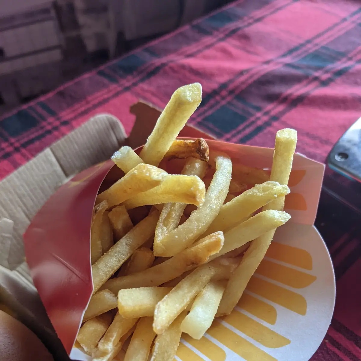 World Famous Fries
