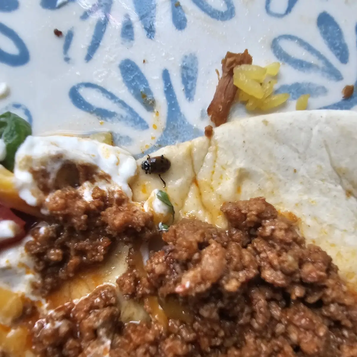 Ground Beef
