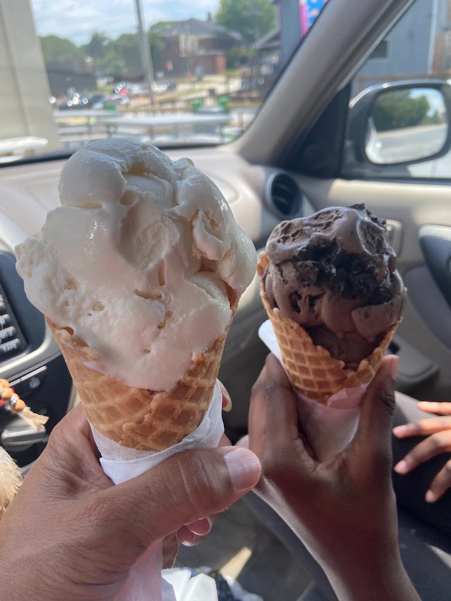 Vanilla and Chocolate Ice Cream
