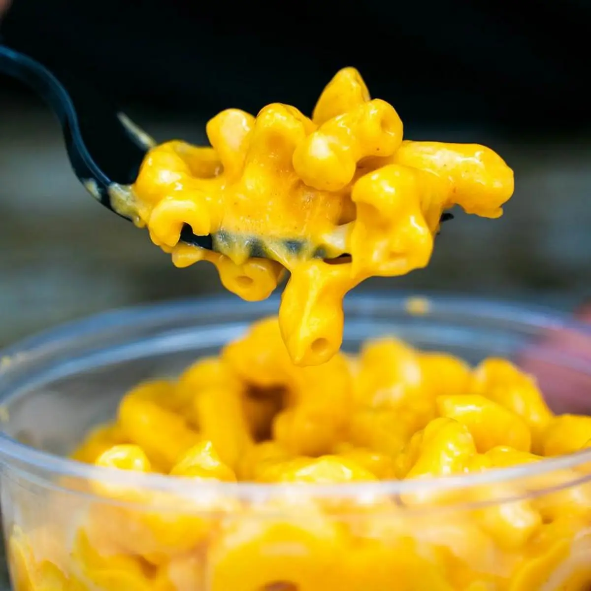 CUP OF CHEESE SAUCE 2 OZ