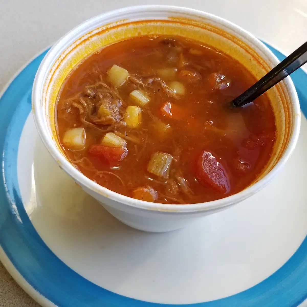 Vegetable Beef Soup