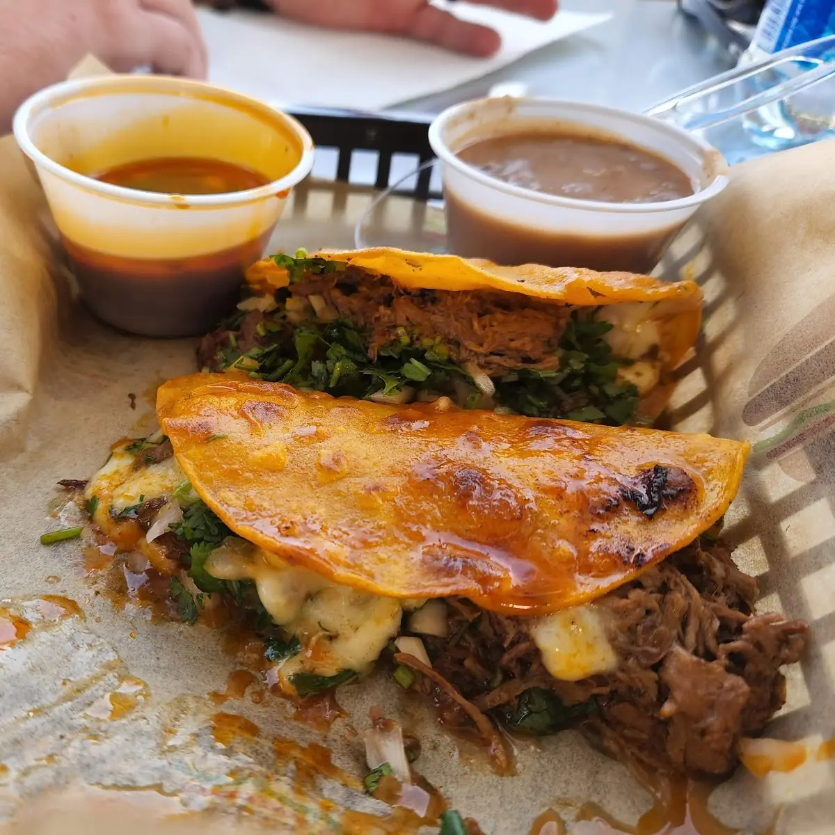 Al Pastor Quesadilla