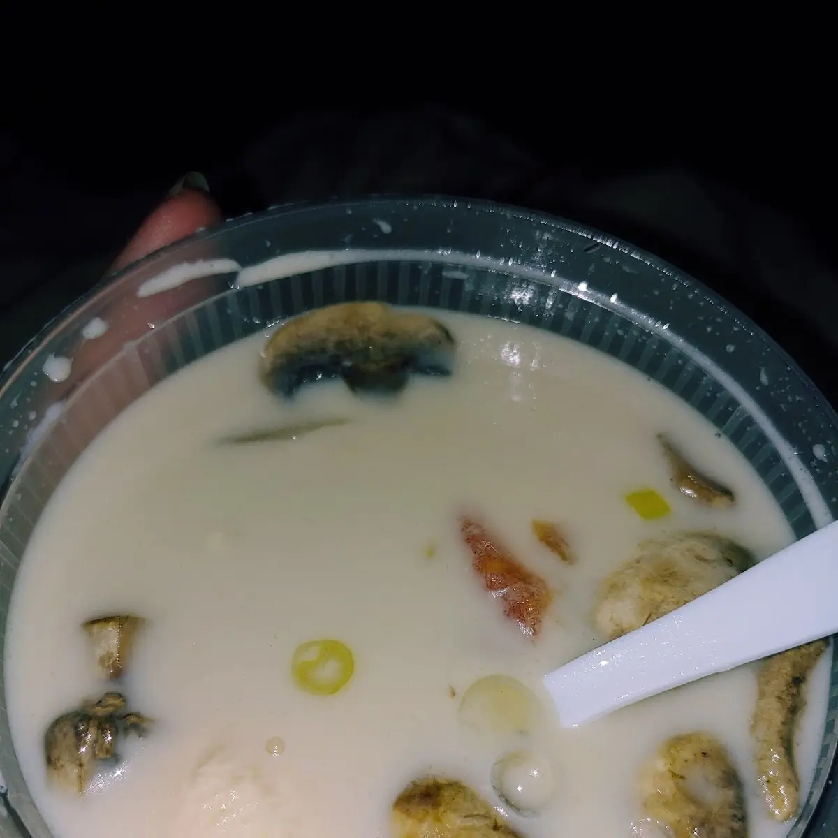 Tom Kha Soup