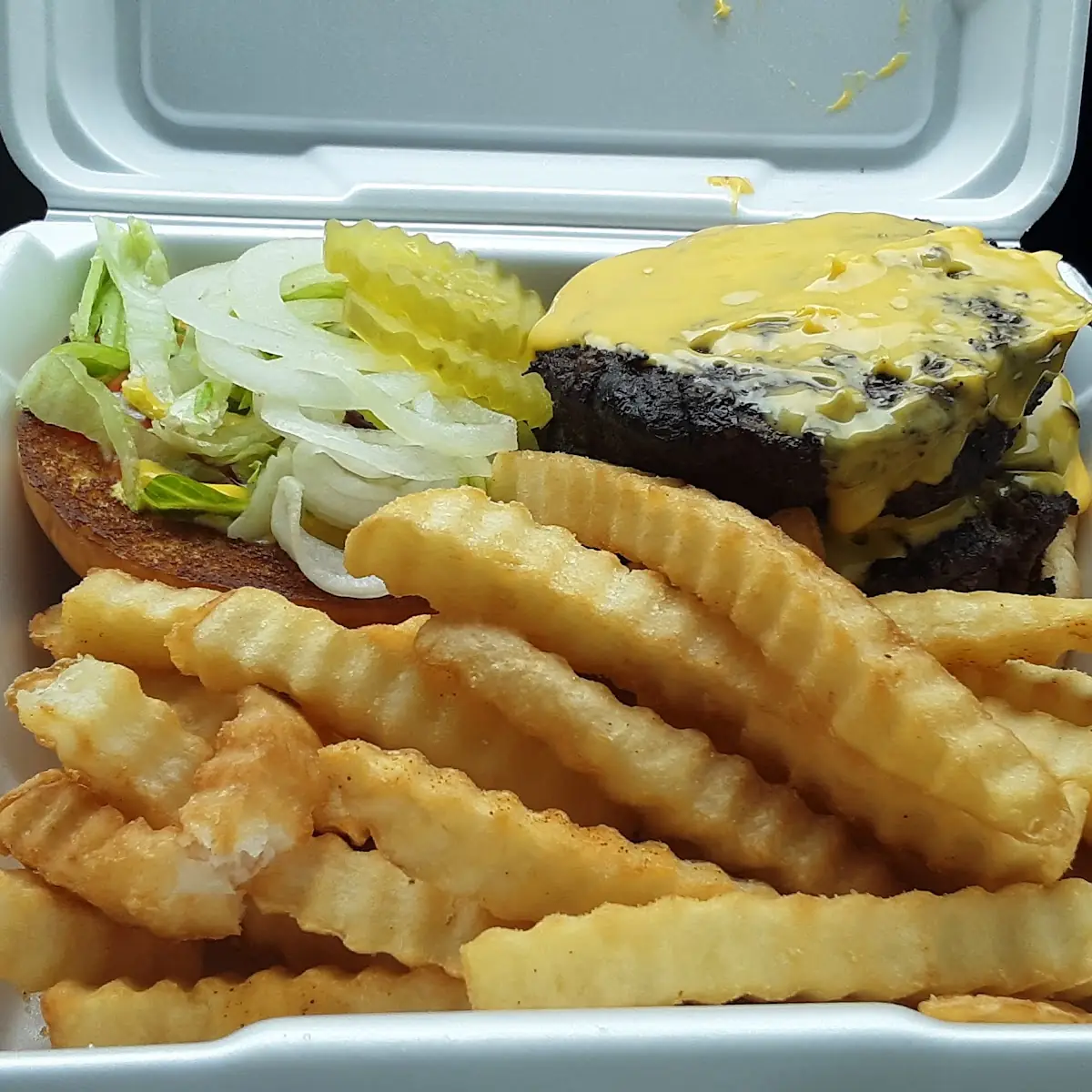 Double Cheeseburger with Fries
