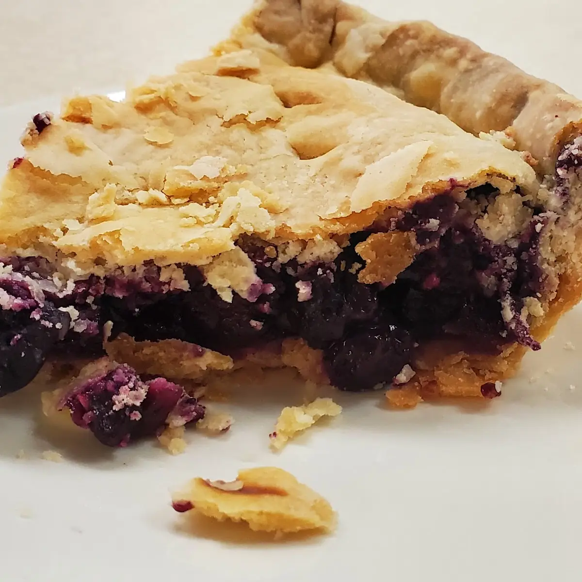 Homemade Blackberry Pie