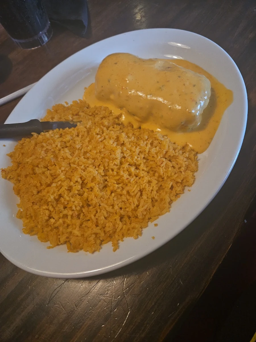 Chimichanga Double Rice
