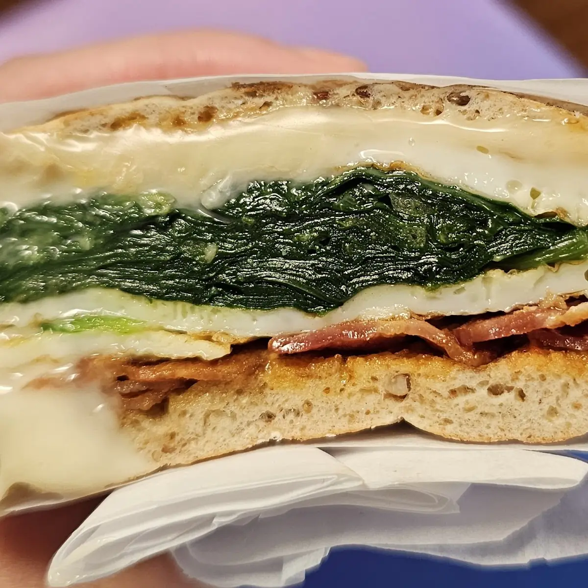 Turkey Pesto Panini