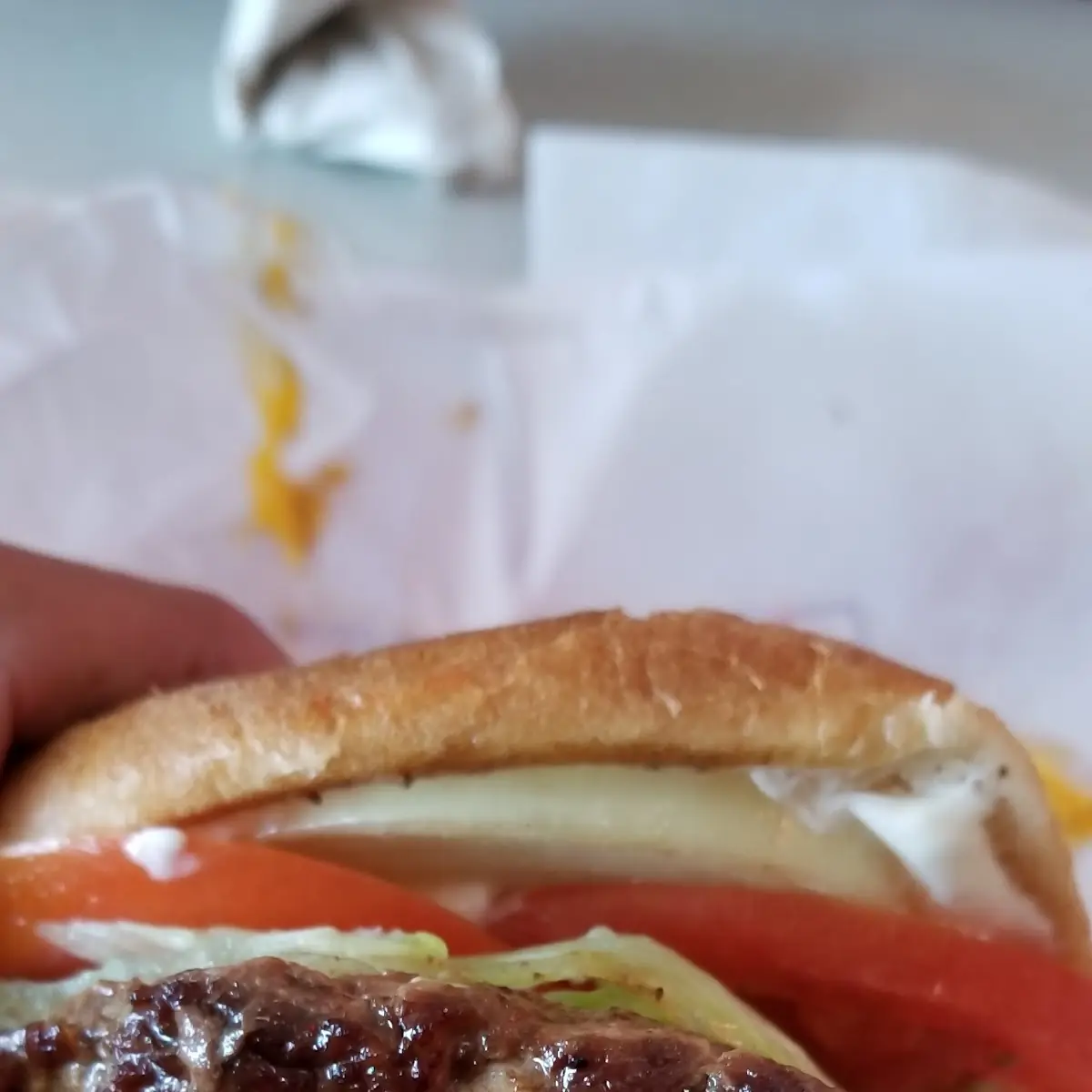 Double Cheeseburger
