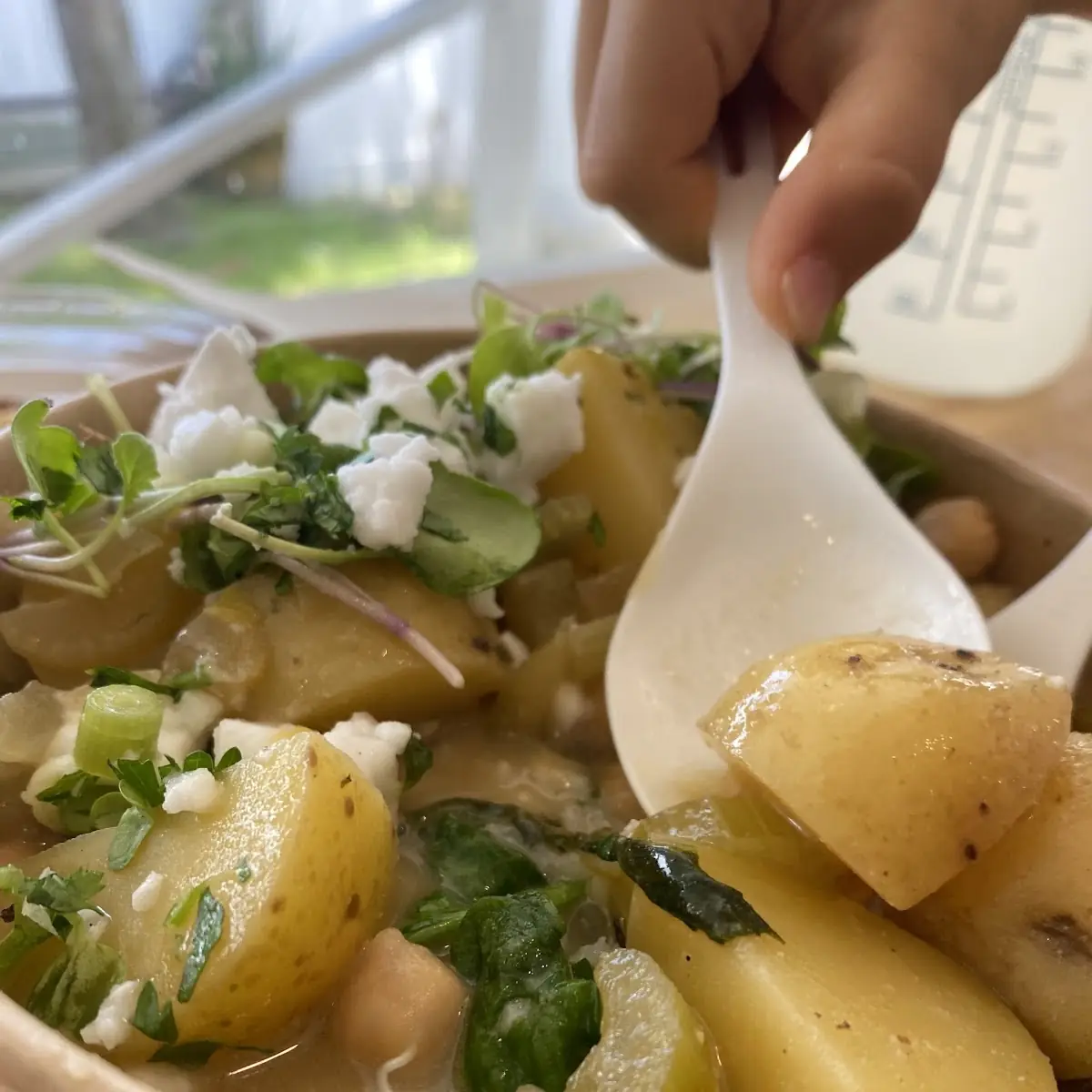 Potato Salad