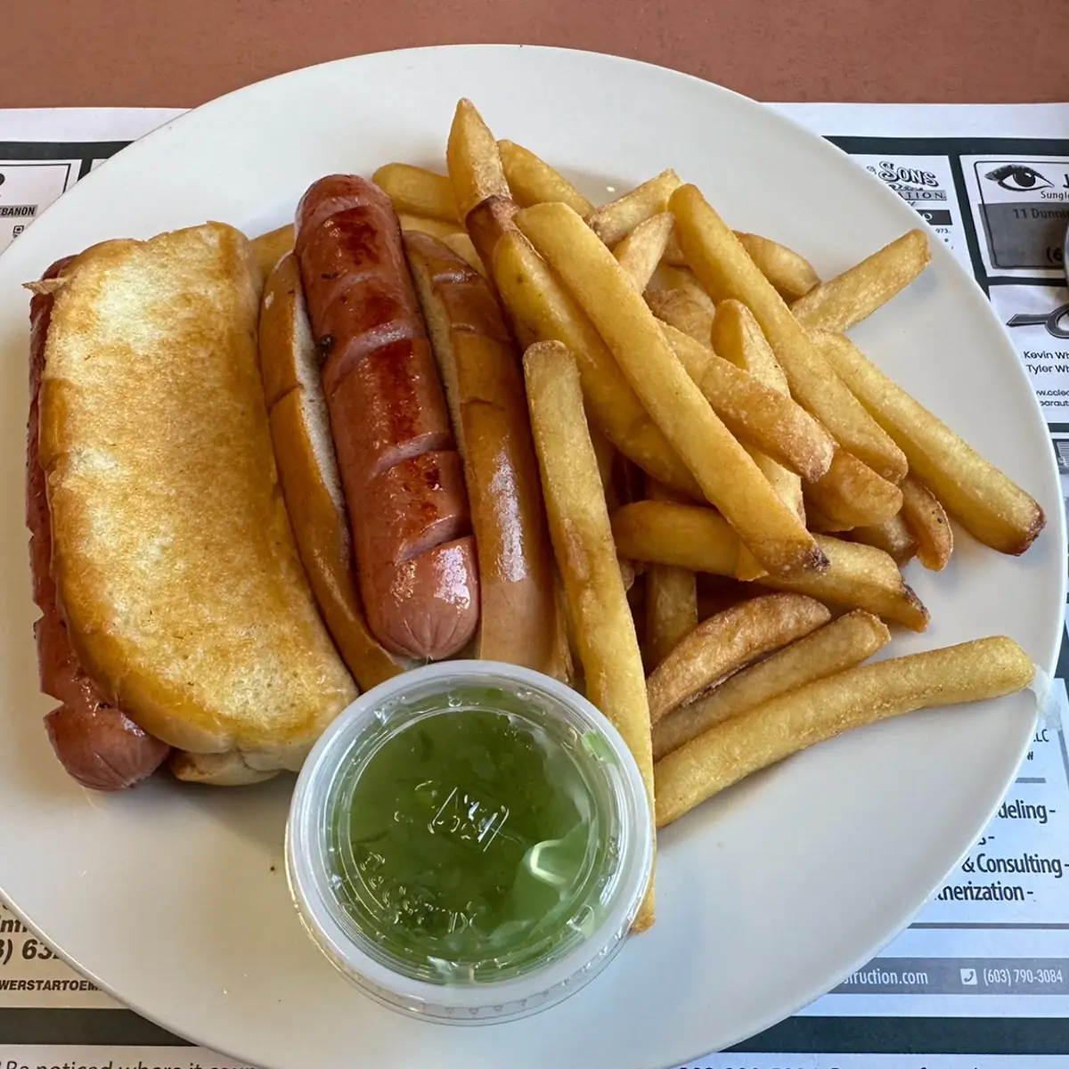 Grilled Hot Dog and Fries