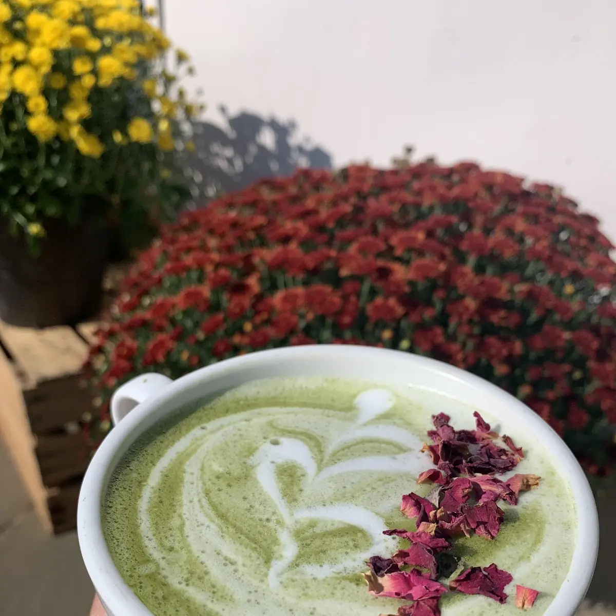 Matcha Latte