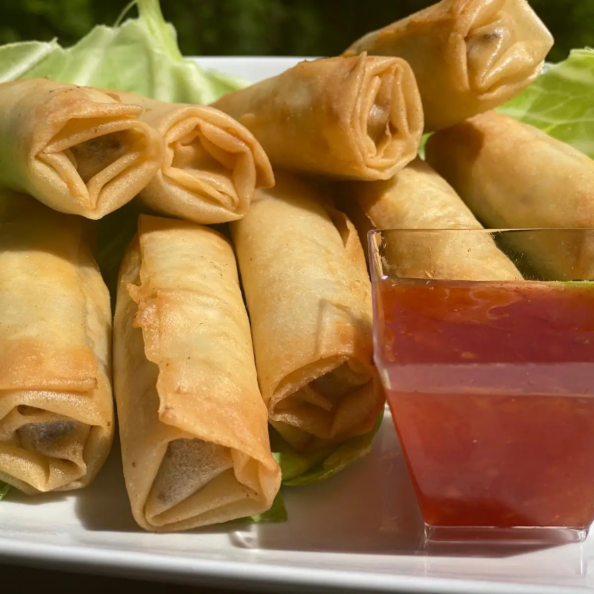 Spring Roll