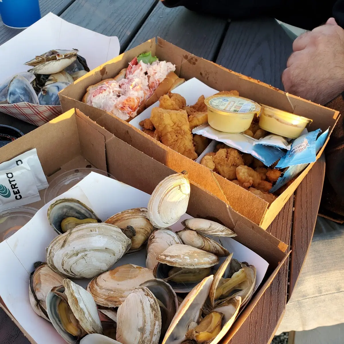 Maine Steamed Clams