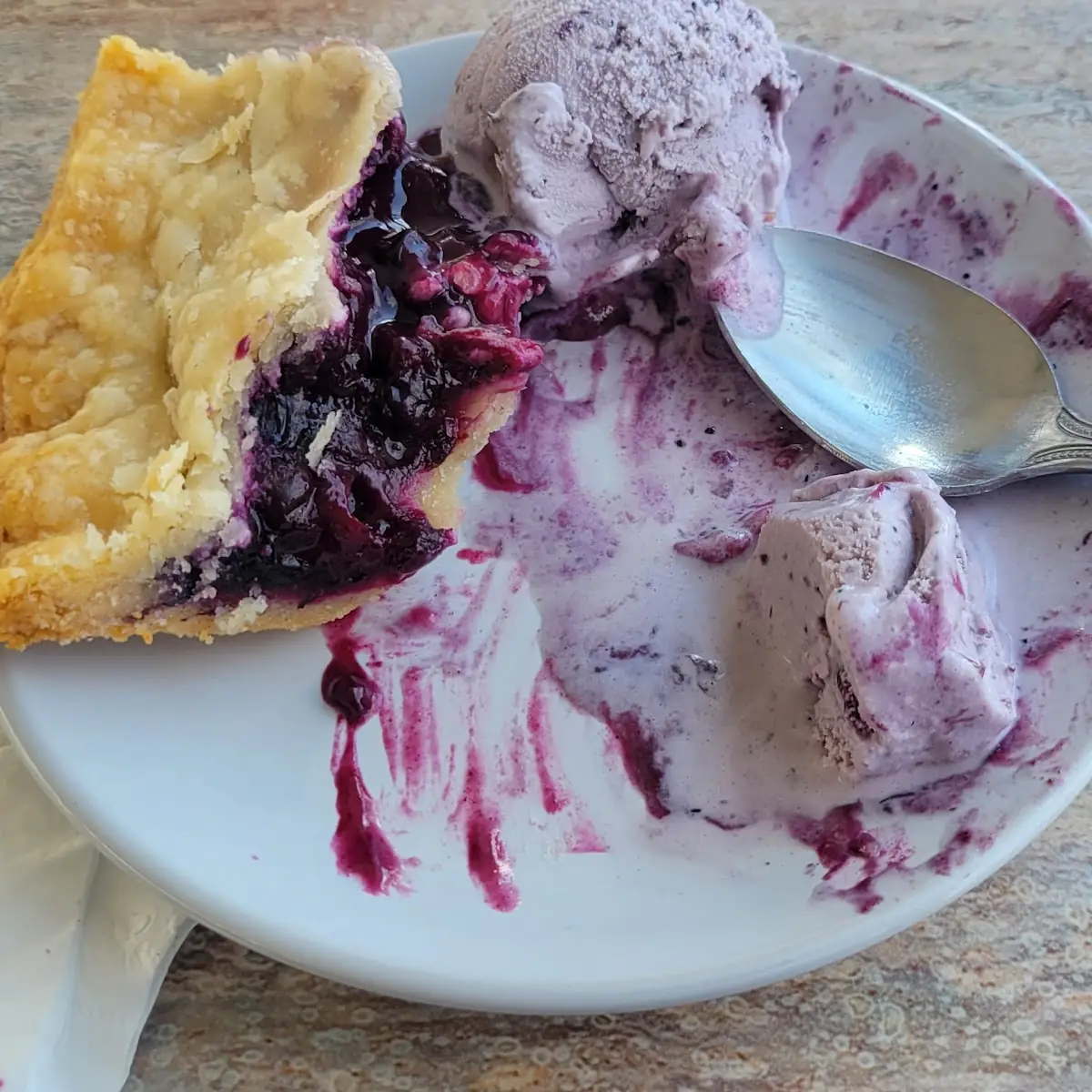 Wild Maine Blueberry Pie