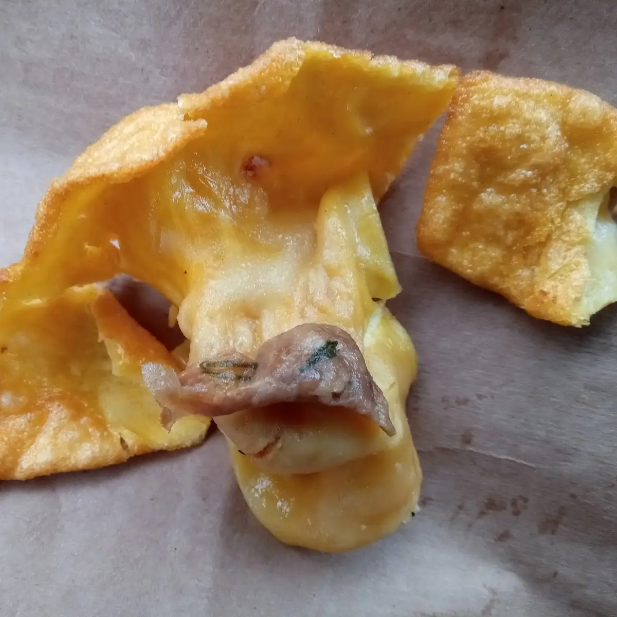 Fried Wonton