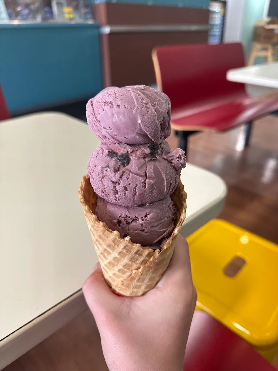 Small Black Cherry with Waffle Cone