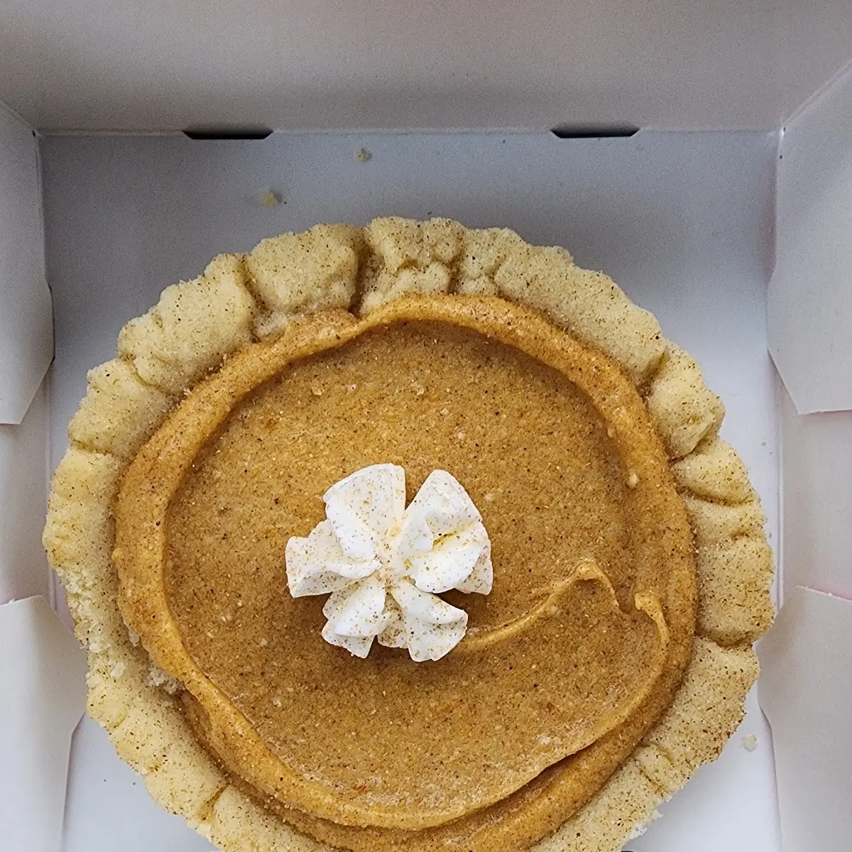 Pumpkin Pie
