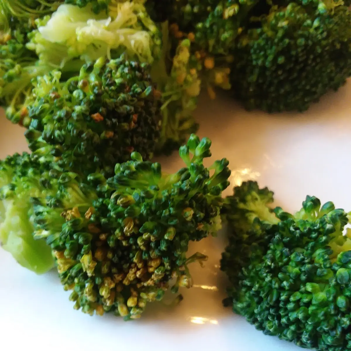 Steamed Broccoli