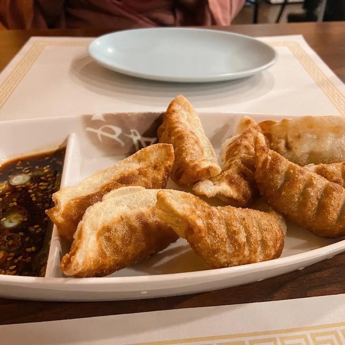 Fried Dumplings