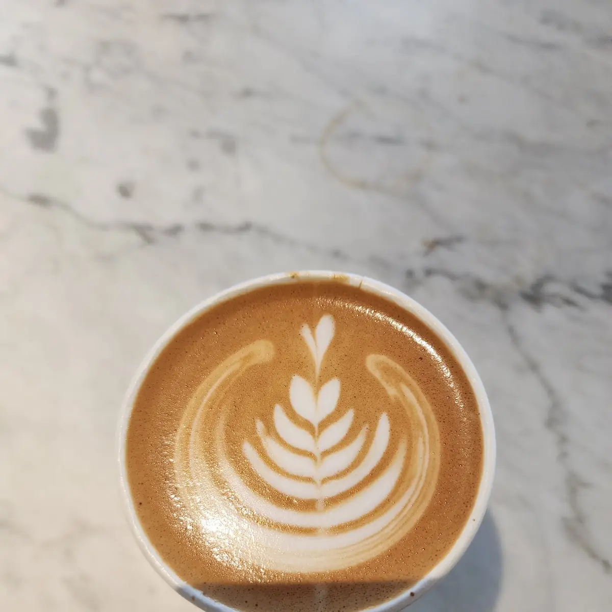 Latte Art in Ceramic Cup