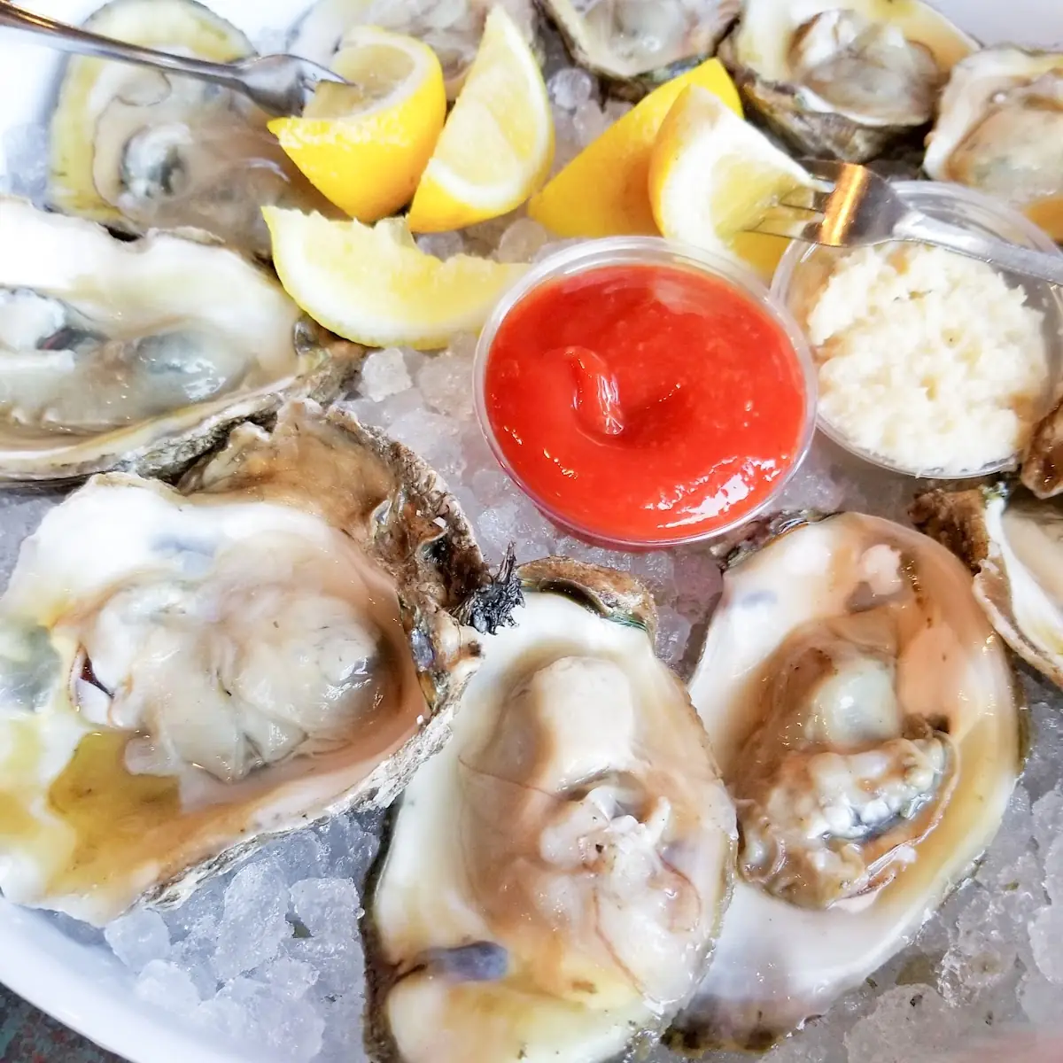 Oysters on the Half Shell
