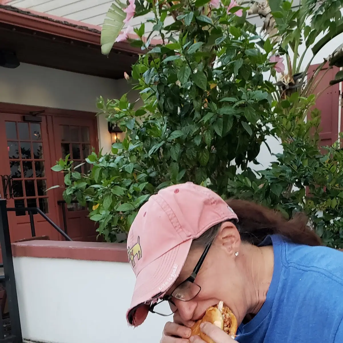 Pulled Chicken Sandwich