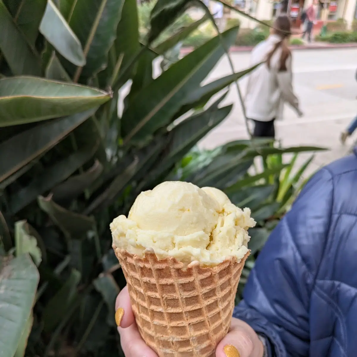 Double Scoop with Waffle Cone