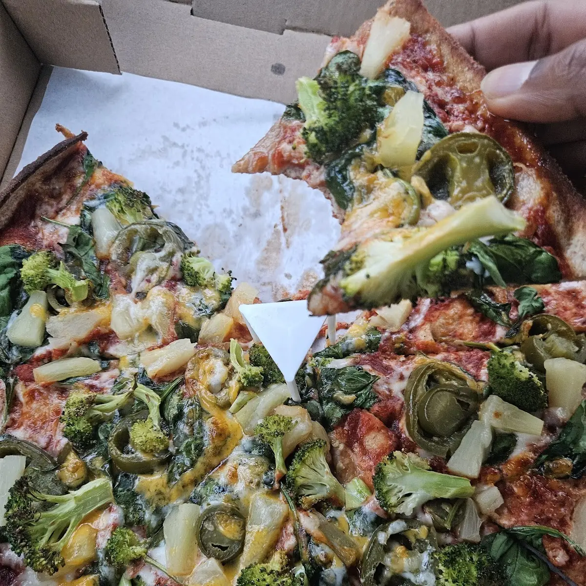 Whole Wheat Crust Pizza