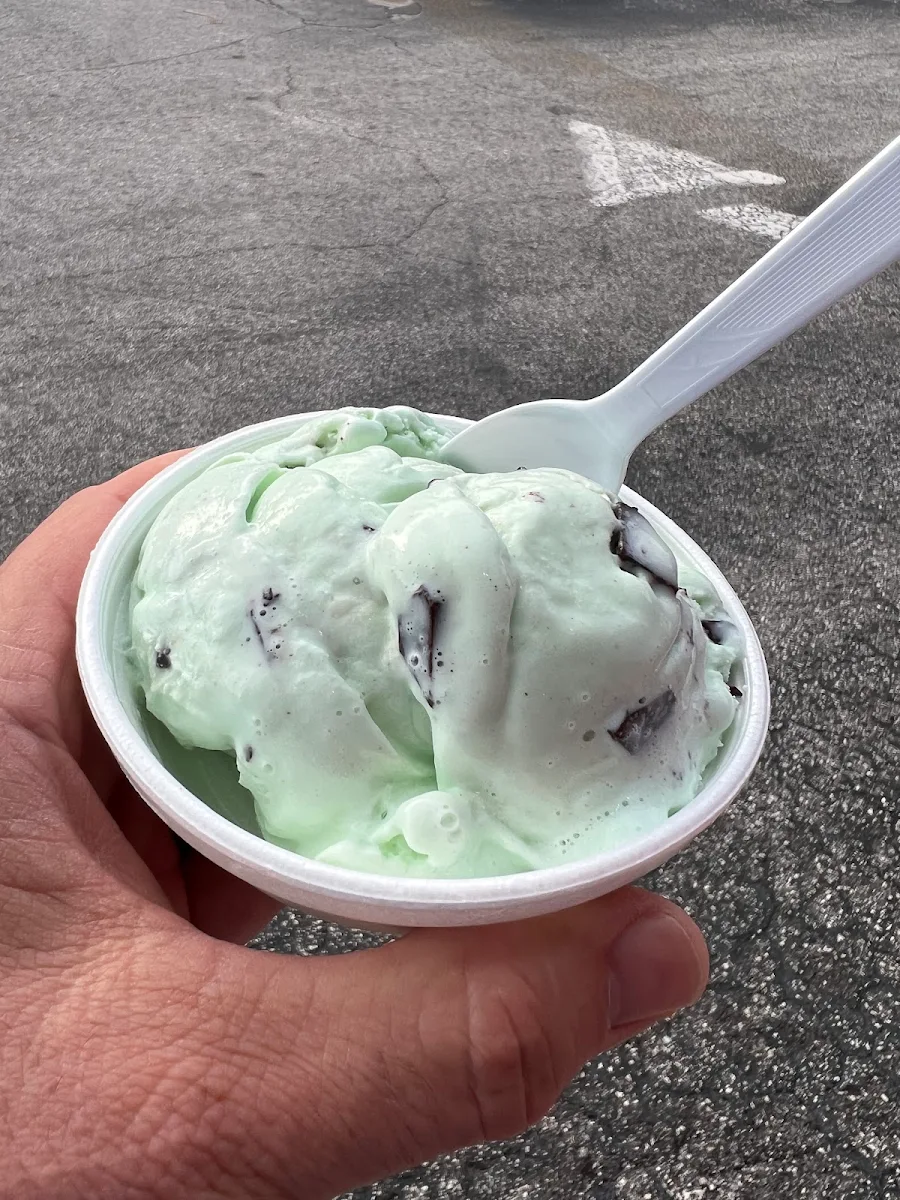 Mint Chocolate Chip Ice Cream