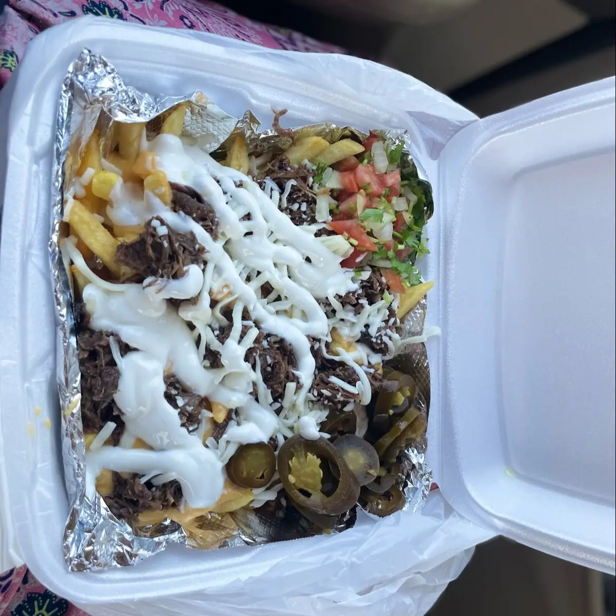 Carne Asada Fries