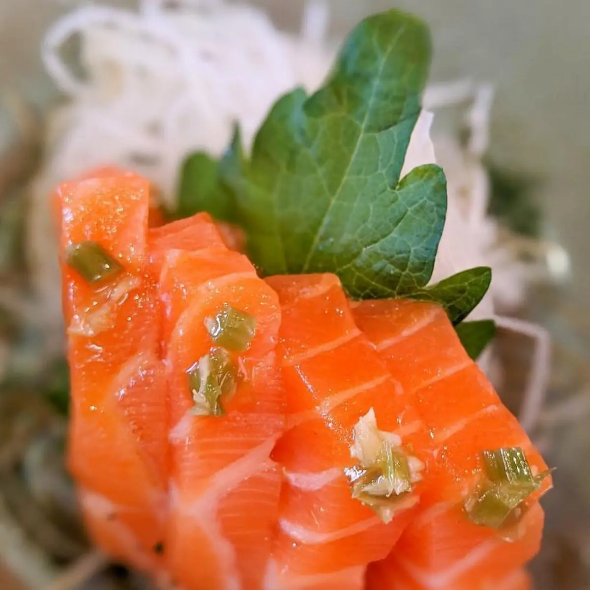 Salmon Sashimi