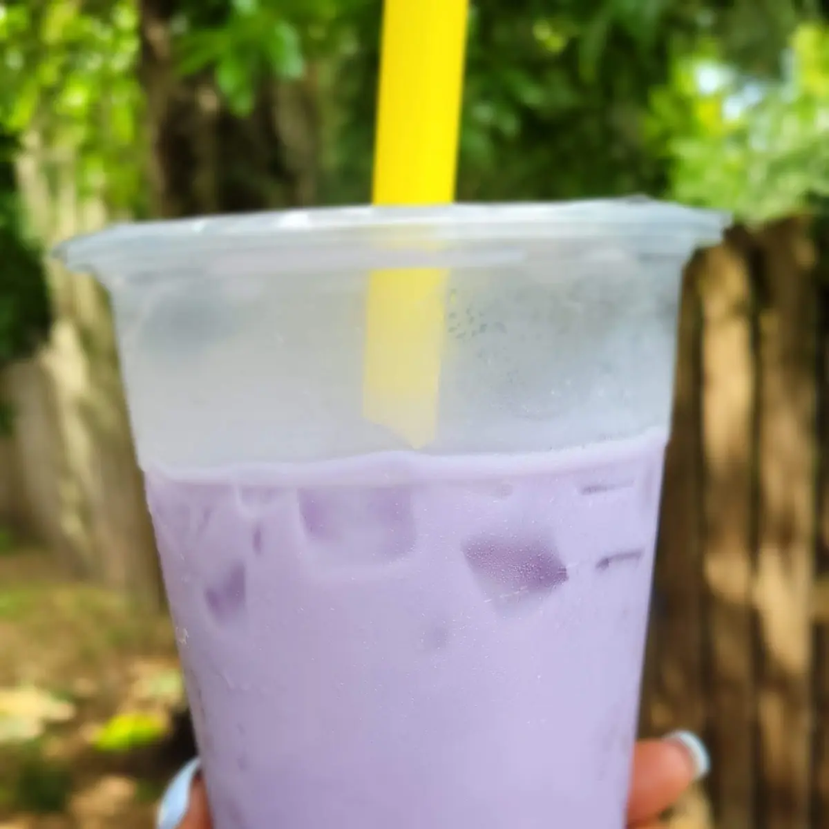 Taro Bubble Tea