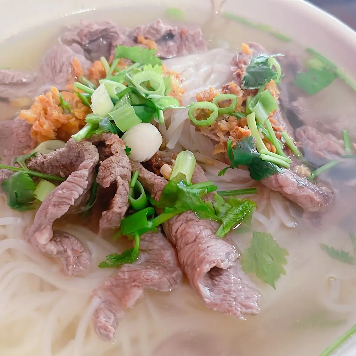 Beef Noodle Soup