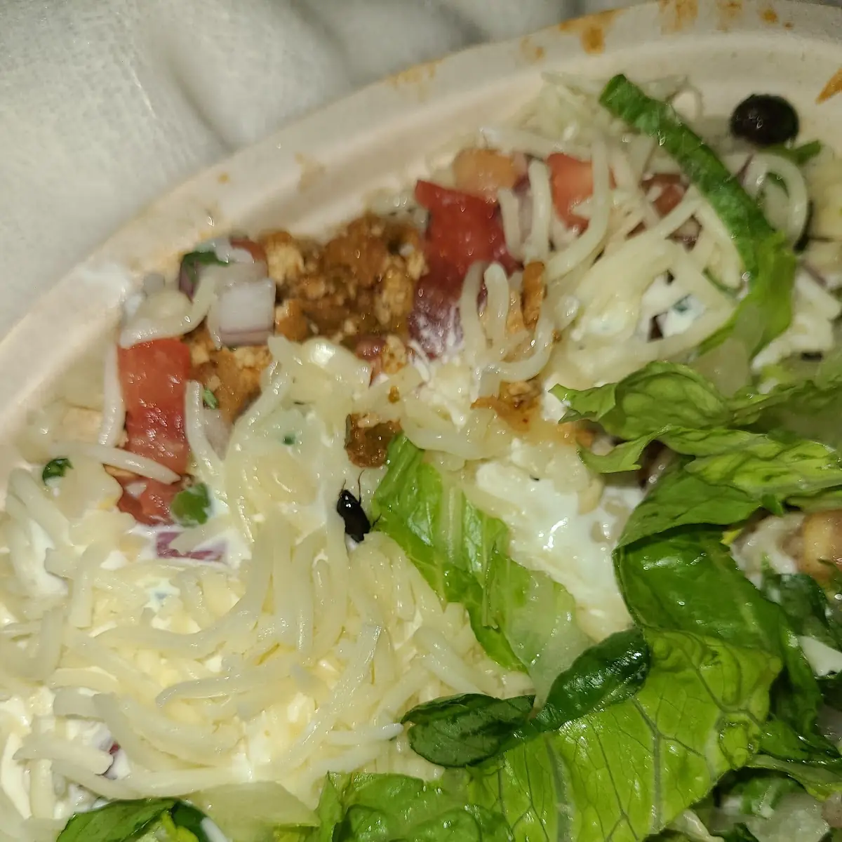 Bug Protein Bowl