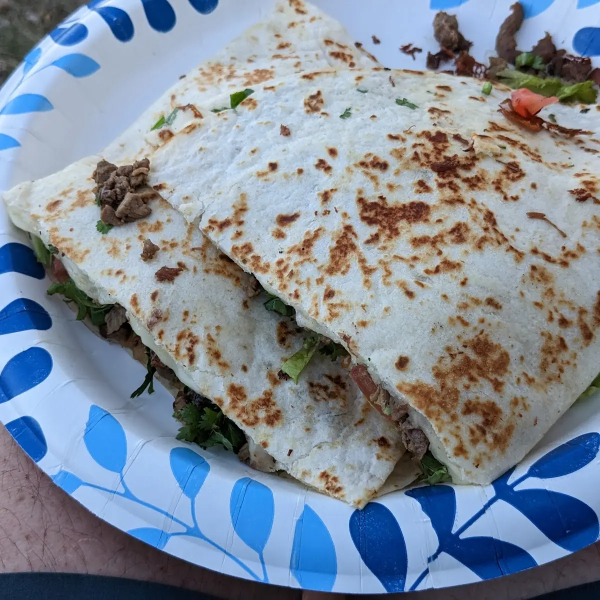 Steak Quesadilla