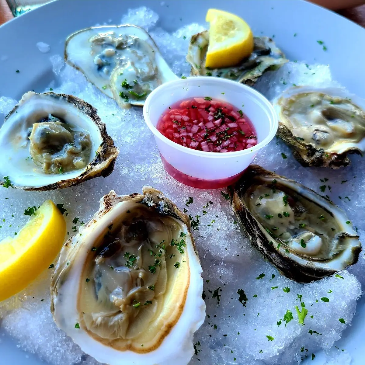 East Coast Oysters