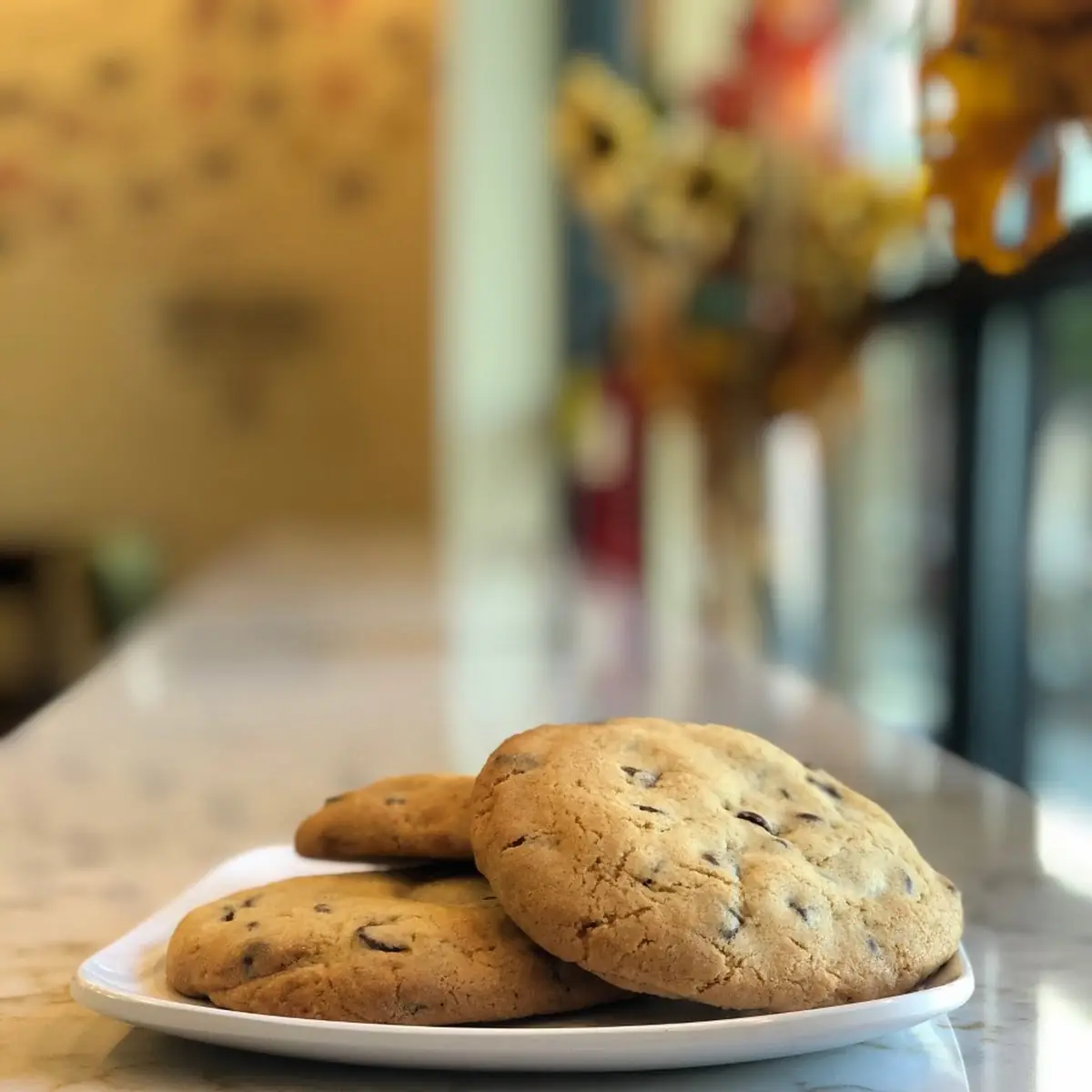 Chocolate Chip
