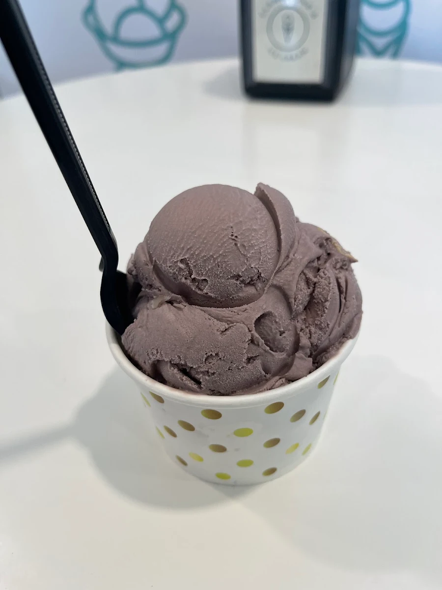 Chocolate Ice Cream