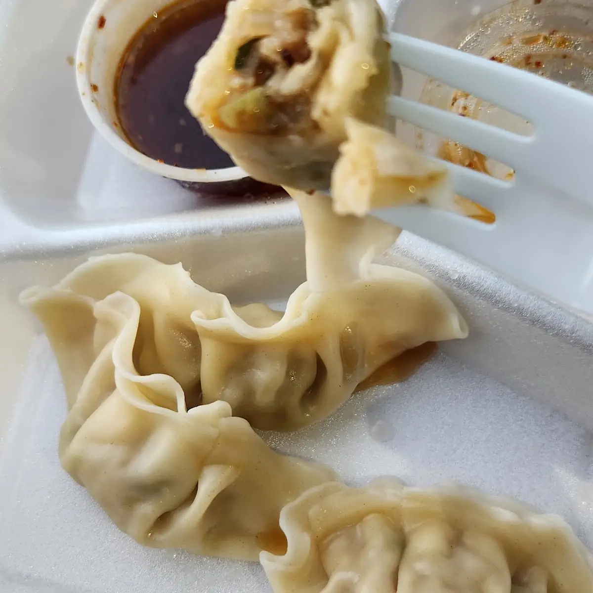 Steamed Dumplings in Your Mouth