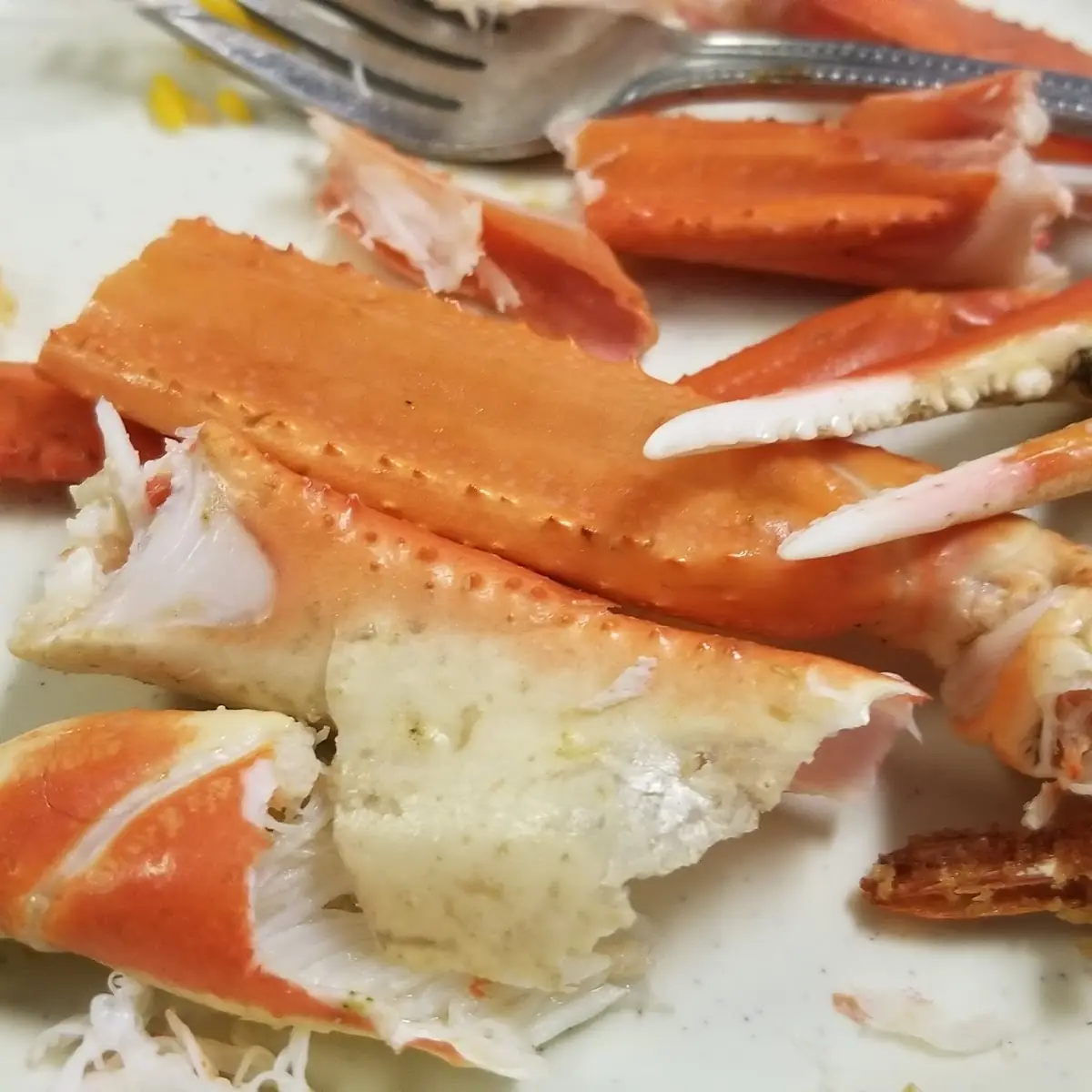 Mayonnaise Crab Meat